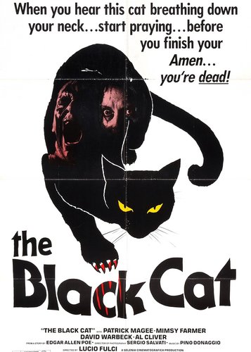 Black Cat - Poster 2