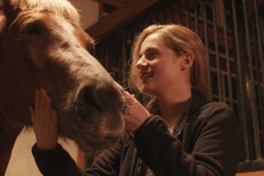 Ein Pferd für Lizzy - Szenenbild 2