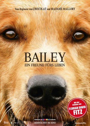 Bailey - Ein Freund fürs Leben - Poster 1