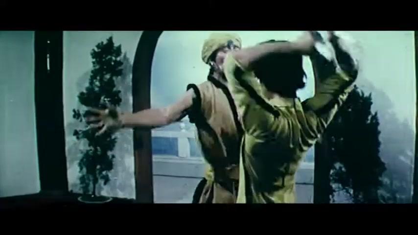Goodbye, Bruce Lee - Trailer - Deutsch - SD