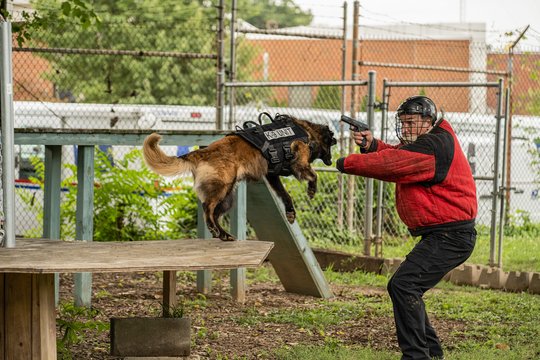 Muzzle - K-9 Narcotics Unit - Szenenbild 4