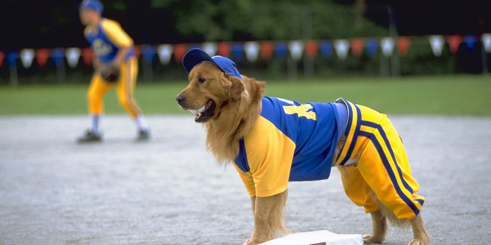 Air Bud 4 - Mit Baseball bellt sich's besser