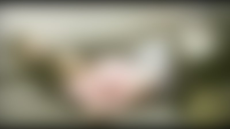 Zombie Nation - Trailer - Englisch - SD