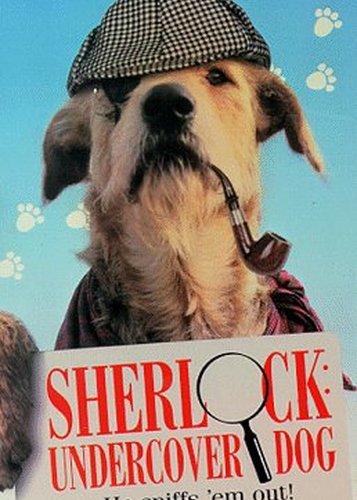 Sherlock - Ein Schnüffler auf 4 Pfoten - Poster 2