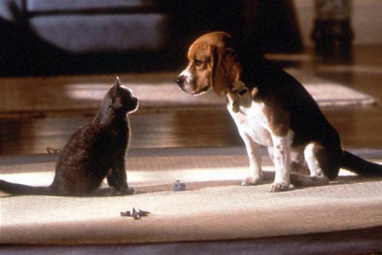 Cats & Dogs 2 - Szenenbild 25