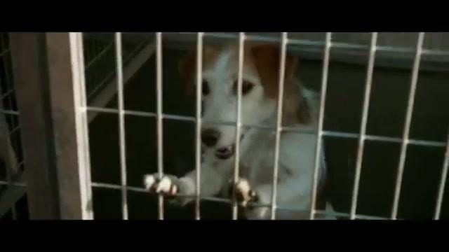Underdog - Eine ungarische Rhapsodie - Trailer - Deutsch - SD