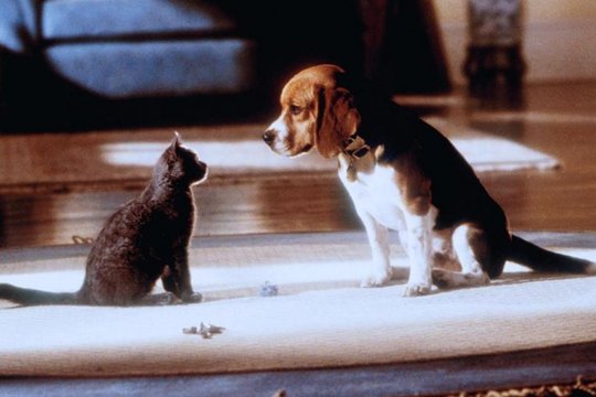 Cats & Dogs - Szenenbild 25