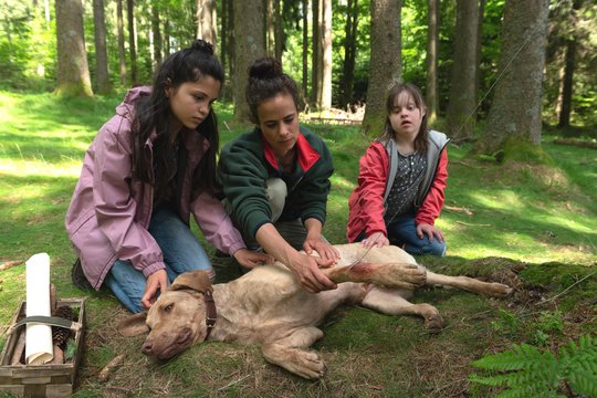 Tiere bis unters Dach - Staffel 9 - Szenenbild 2
