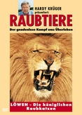 Raubtiere - Löwen