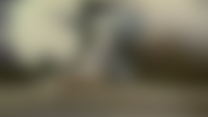 Iron Monkey 2 - Trailer - Englisch - SD