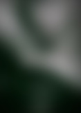 V*y