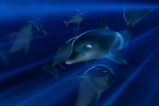 Der Delfin - Szenenbild 5