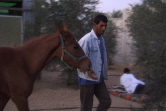 Mit Hasan in Gaza - Szenenbild 1