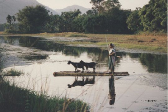 Assam - Szenenbild 1