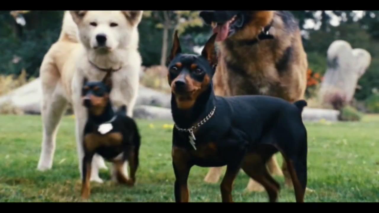 Marmaduke - Trailer - Deutsch