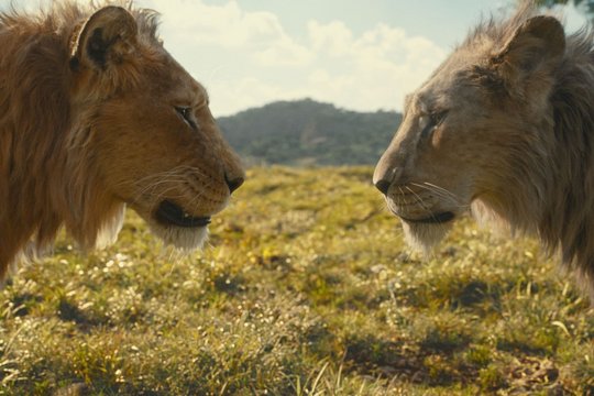 Mufasa - Der König der Löwen - Szenenbild 12