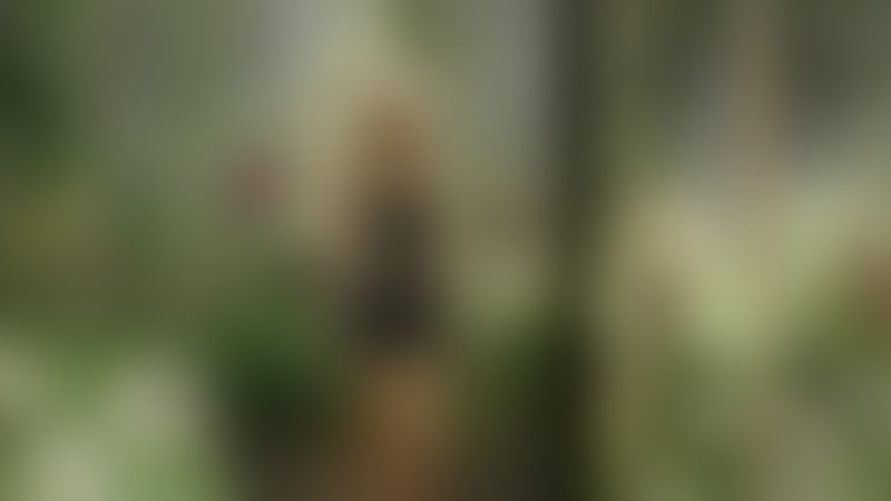 Girls to Buy - Trailer - Englisch - SD