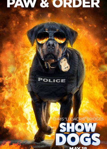 Show Dogs - Poster 4