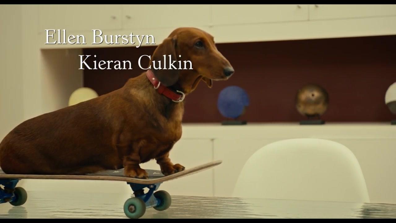 Wiener Dog - Trailer - Deutsch