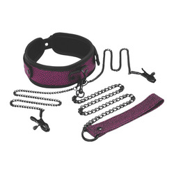 Collar, Leash &amp; Nipple Clips Set