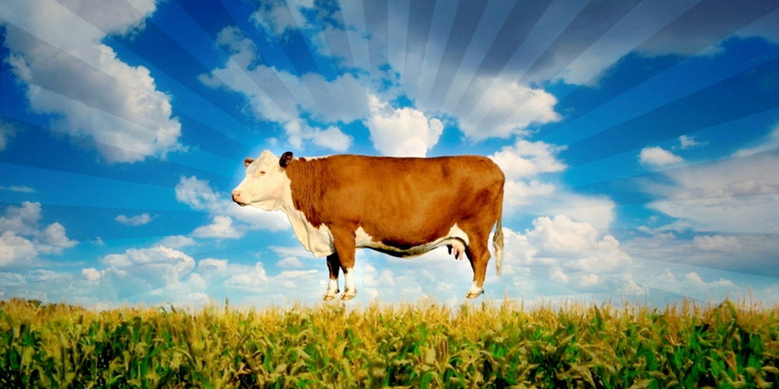 Food, Inc.