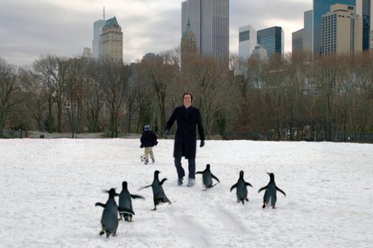 Mr. Poppers Pinguine - Szenenbild 8