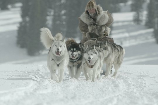 The Great Alaskan Race - Szenenbild 5