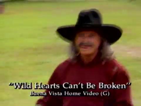 Das Herz einer Amazone - Wild und frei - Teaser - Englisch - SD