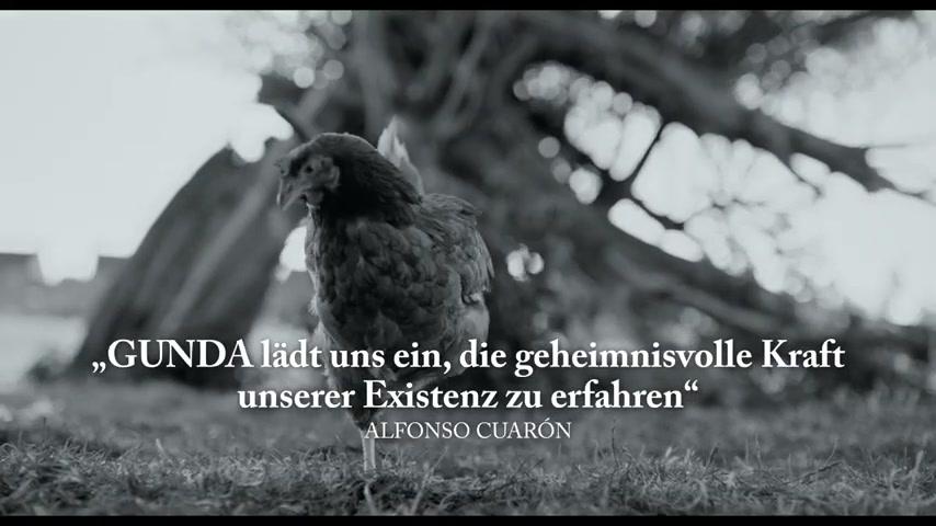 Gunda - Trailer - Deutsch - SD