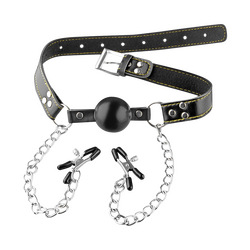 Ball Gag &amp; Clamps