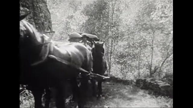 Das blaue Licht - Trailer - Deutsch - SD