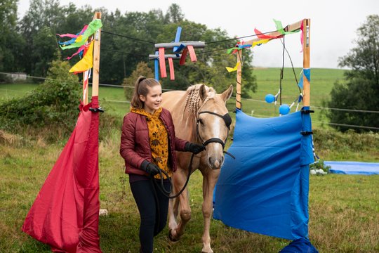 Tiere bis unters Dach - Staffel 9 - Szenenbild 1