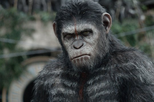 Der Planet der Affen 2 - Revolution - Szenenbild 2