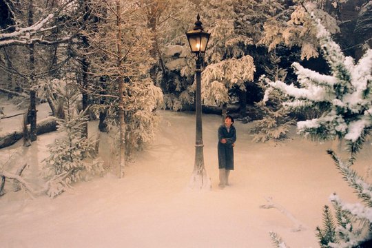 Die Chroniken von Narnia 1 - Der König von Narnia - Szenenbild 1