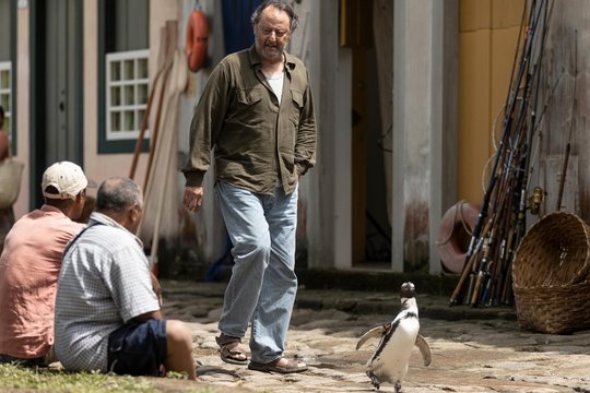 My Penguin Friend - Szenenbild 1