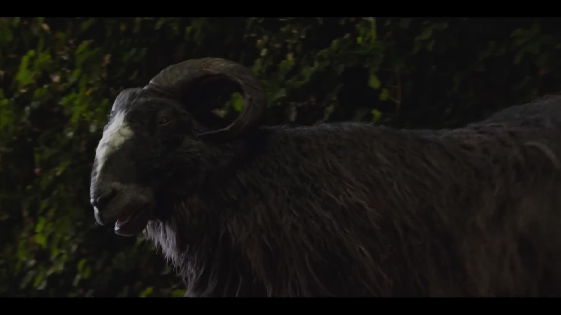 Glennkill - Ein Schafskrimi - Trailer - Englisch - HD