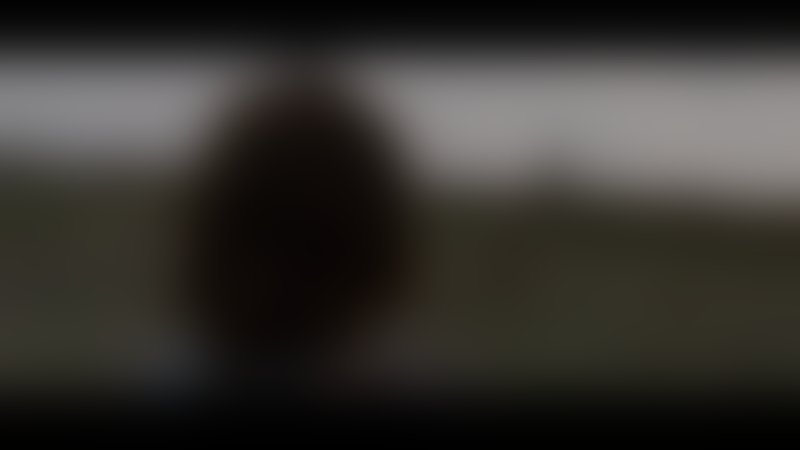 Bereavement - Trailer - Deutsch - SD