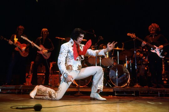 Elvis on Tour - Szenenbild 5