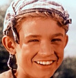Petr Herrmann