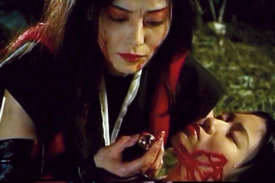 Kunoichi Lady Ninja - Szenenbild 7