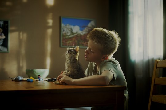 Koschka - Szenenbild 4
