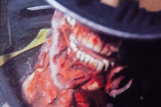 Piranha 2 - Fliegende Killer - Szenenbild 6