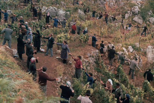 Das Geheimnis von Santa Vittoria - Szenenbild 5