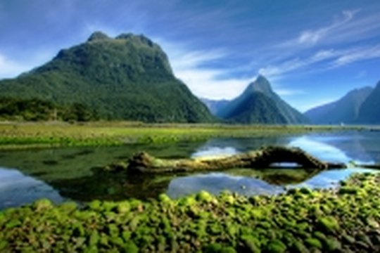 Neuseeland - Szenenbild 1