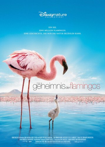 Das Geheimnis der Flamingos - Poster 1