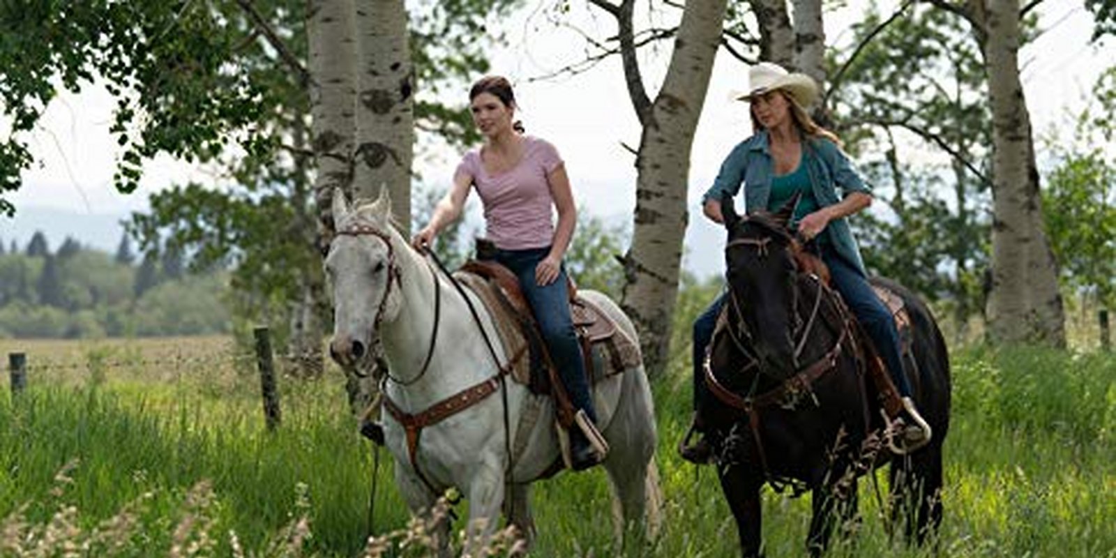 Heartland - Paradies für Pferde - Staffel 12