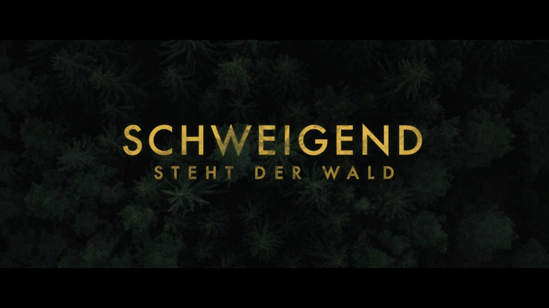 Schweigend steht der Wald - Trailer - Deutsch