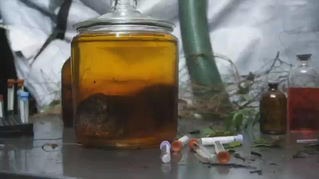 Dragon Wasps - Trailer - Deutsch - SD