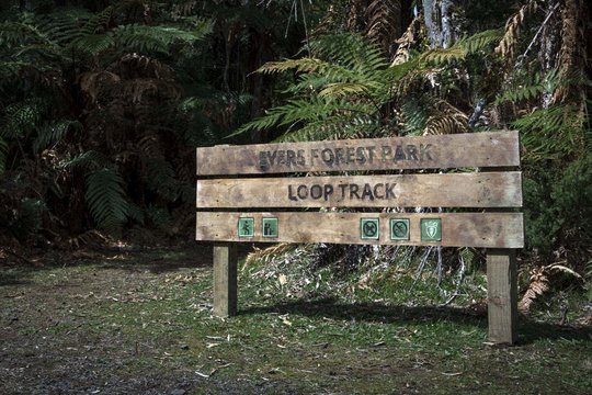 Loop Track - Szenenbild 1