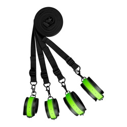 Bed Bindings Restraint Kit